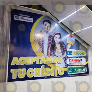 Vinil montado sobre coroplast